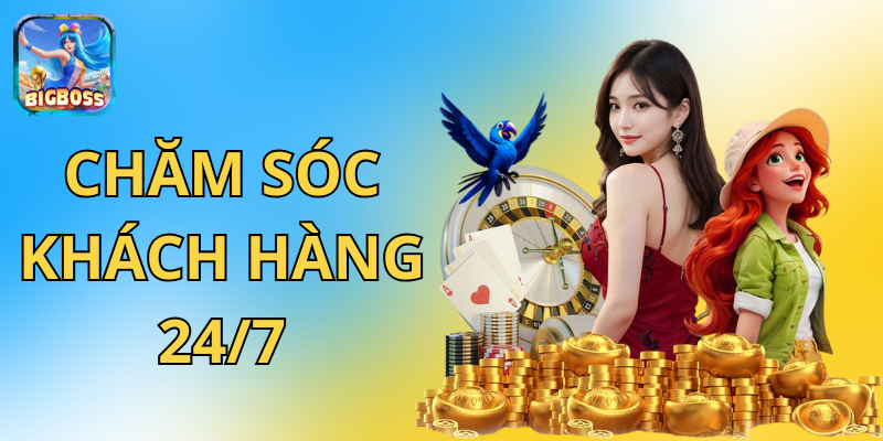 Đội ngũ chăm sóc khách hàng BigBoss – hỗ trợ 24/7