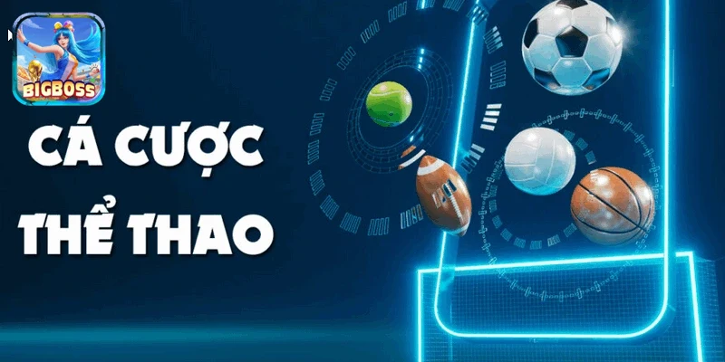 giao diện nền tảng thể thao hiện đại thu hút